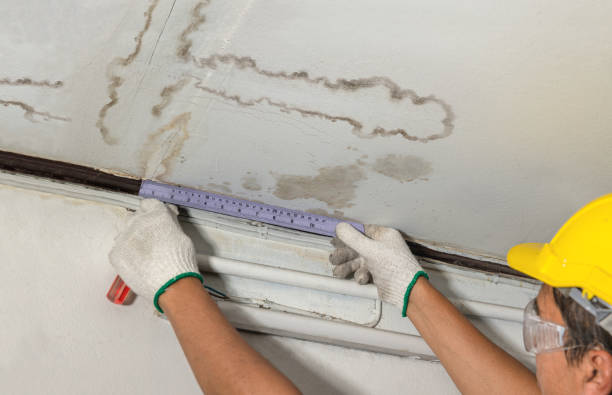 Reliable Mold Remediation contractor in Middletown, MO by Water Damage Irwin